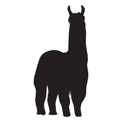 Fototapeta premium Isolated llama standing silhouette