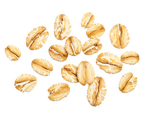 Obraz premium Oat flakes scattered on transparent background