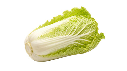 Fresh Napa cabbage, Chinese cabbage, or celery cabbage with green leaves and white core, isolated PNG with Transparent Background
