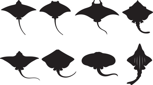 Eight Detailed Stingray and Manta Ray Silhouettes Vector Collection: Diverse Marine Wildlife Icons for Ocean Logos, Scuba Decals, Aquarium Graphics, and Underwater Design Assets