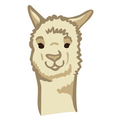 Fototapeta premium Llama cute face