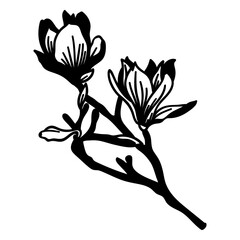 Stem stalk flower petal silhouette detailed © Vexels