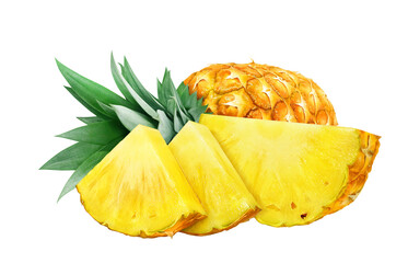 パイナップル イラスト リアル パイン