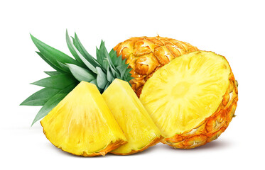 パイナップル イラスト リアル パイン