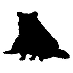 Sitting raccoon vector © Vexels