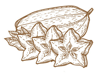 Whole star fruit with slices. Outline sketch in linear style. Carambola vintage vector illustration isolated.