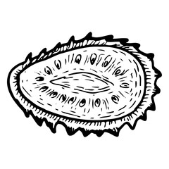 Soursop fruit halves top view, hand drawn ink sketch isolated on transparent background. Guanabana fruit ouline.
