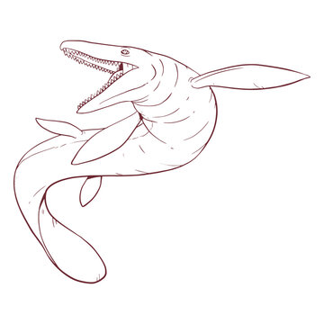 Lizard mosasaur drawn