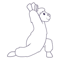 Fototapeta premium Llama warrior pose yoga stroke