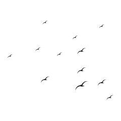 Fototapeta premium Illustration of a Flock of Flying Seagulls