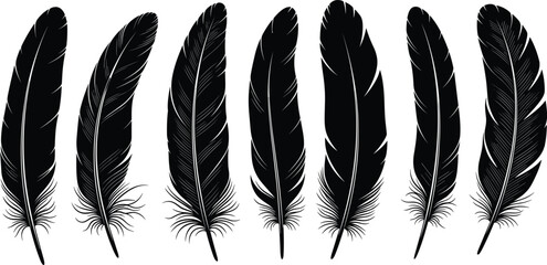Black feather collection vector illustration set, realistic bird plumage silhouettes, hand drawn decorative quill design bundle isolated © Nusaiba's World