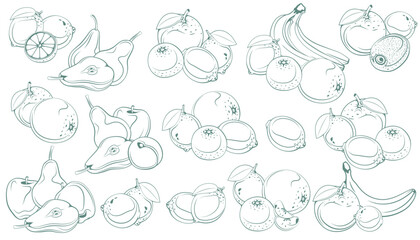 Fototapeta premium Set of Fruits Illustration. Hand Drawn Apples, Pears, banana, Cherry, Strawberry, Plum, Kiwi, Lemon and Orange. Line Drawing on white. Exotic Fruits isolated