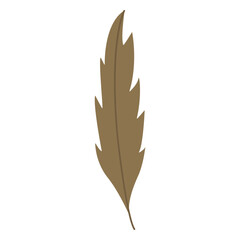 Obraz premium Serrated leaf flat