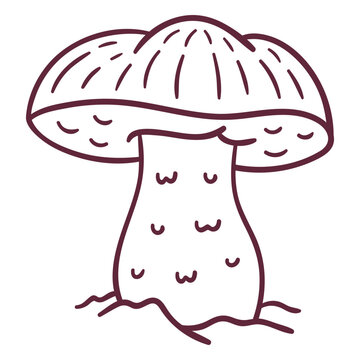 Caesar mushroom fungus stroke