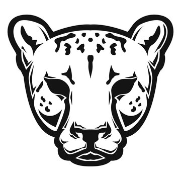 Cheetah head high constrast