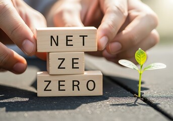 Hands arranging wooden blocks with 'NET ZERO' text beside a small green plant on a wooden surface