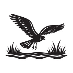 Fototapeta premium Flying Harrier Marsh Predator Bird Silhouette