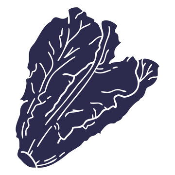 Cut out romaine lettuce