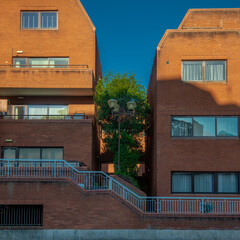 Green tree between two apartments
