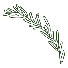Fototapeta premium Stem with leaves stroke