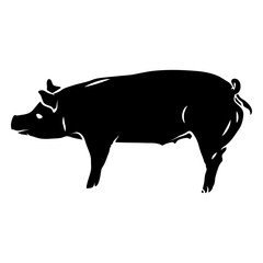 Fototapeta premium Pigs profile cut out