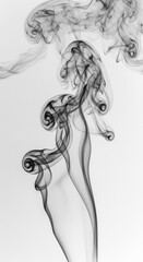 Fototapeta premium Abstract swirling black smoke wisps against a clean white background