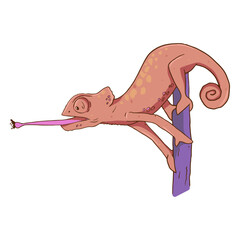 Dark pink chameleon color stroke © Vexels