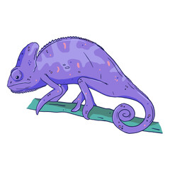 Purple chameleon color stroke © Vexels