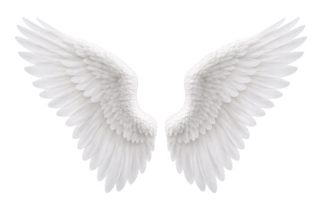 Obraz premium White angel wings set isolated on white for Valentine’s Day. Valentine designs. Love themed projects. Romantic holiday visuals.