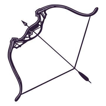 Archery compound bow with arrow