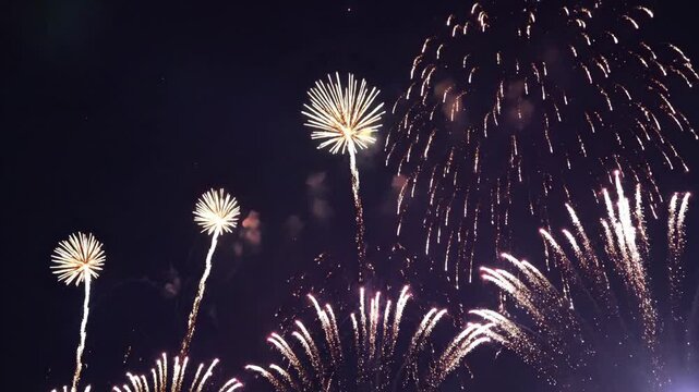 Celebration fireworks exploding in dark night sky festive holiday displays showcasing spectacular pyrotechnics for special occasions events and celebrations