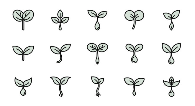 Close-up of Various Sprouting Seedlings Symbolizing Growth and New Beginnings