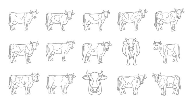 Collection of Simplified Cow Line Art Illustrations for Educational and Creative Projects