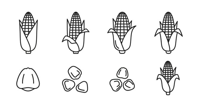 Detailed step-by-step illustration of corn on the cob peeling process