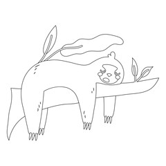 Naklejka premium Sleeping sloth animal