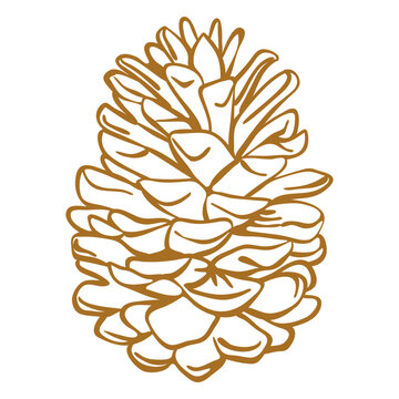 Pinecone stroke solstice