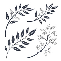 Obraz premium A collection of various leaf illustrations showcasing different leaf shapes and sizes.