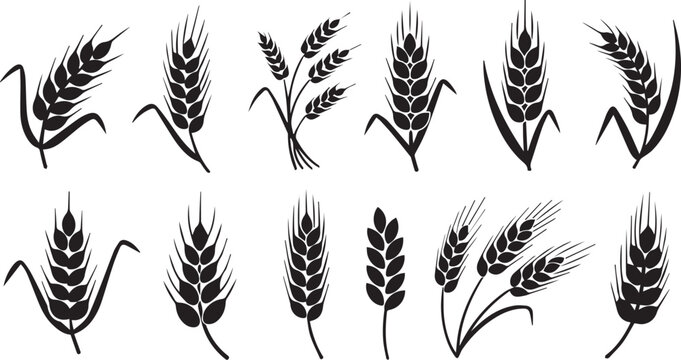 Wheat Ear and Cereal Plant Silhouette Set - Organic Grain Agriculture Logo Symbols