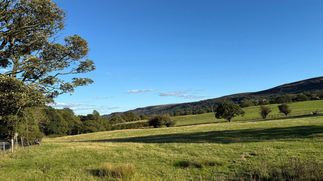 &ldquo;A late summer countryside scene, with green fields under a clear blue sky and scattered trees suggesting a peaceful rural setting near Cocking Lane, Ilkley, UK.&rdquo;