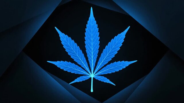 Neon blue cannabis leaf graphic against dark abstract background