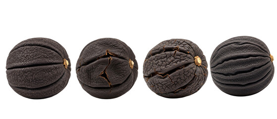 Set of four whole black walnuts with dark dried husks isolated on a white background.