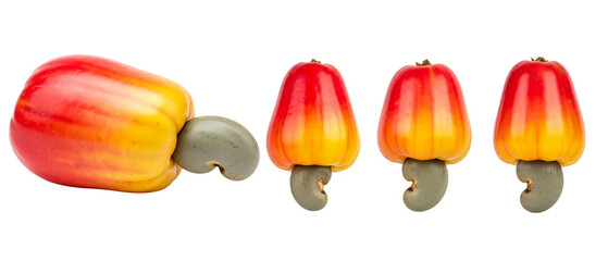 Set of fresh ripe red cashew fruits with nuts isolated on a clean white background.