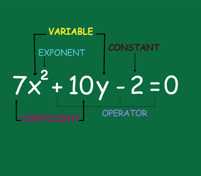 Elements of polynomial algebraic expressions. Vector illustration.