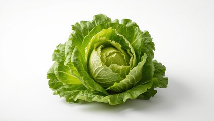 Obraz premium Isolated fresh green oak lettuce against a white backdrop