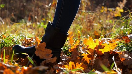 Low view to female feet in boots going along trail on fallen dry leaves. Legs of young woman stepping along path outdoor. Girl walking at nature on sunny autumn day. Slow motion