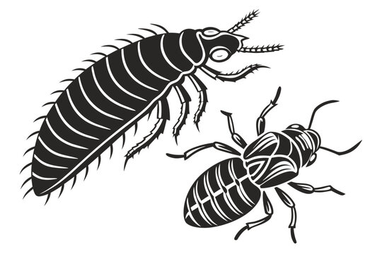 Stylized Black and White Insect Silhouettes Vector Illustration.