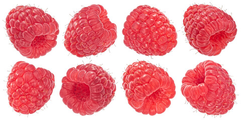 Raspberries isolated on white background, full depth of field