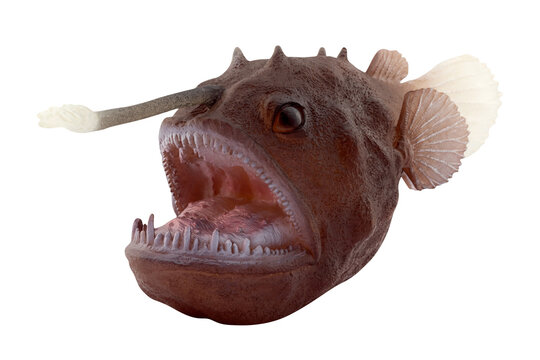 Anglerfish scary fish toy. Deep sea anglerfish model toy. The isolation is on a transparent background in the PNG format.