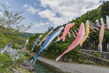 日本：風になびく鯉のぼり【神流（かんな）川公園】群馬県神流町・5月