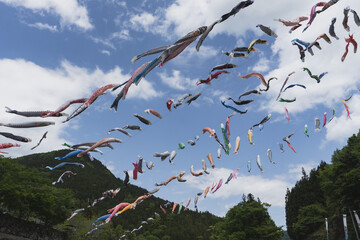 日本：初夏の空を泳ぐ沢山の鯉のぼり【神流川公園】群馬県神流町・5月